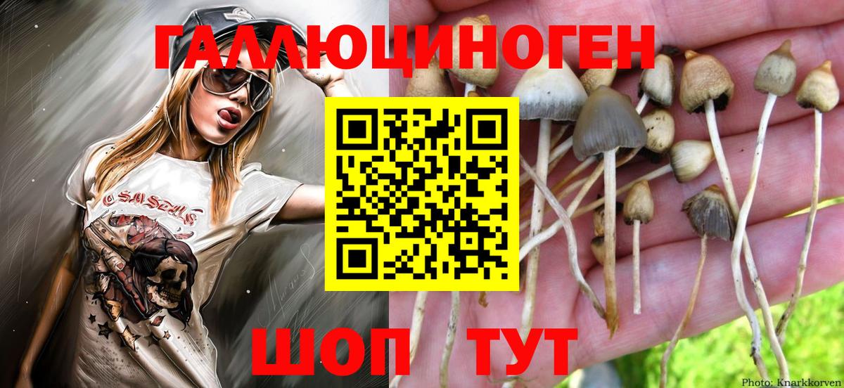Галлюциногенные грибы Magic Shrooms  Псилоцибиновые грибы мухоморы  Вход с VPN  Жигулёвск 